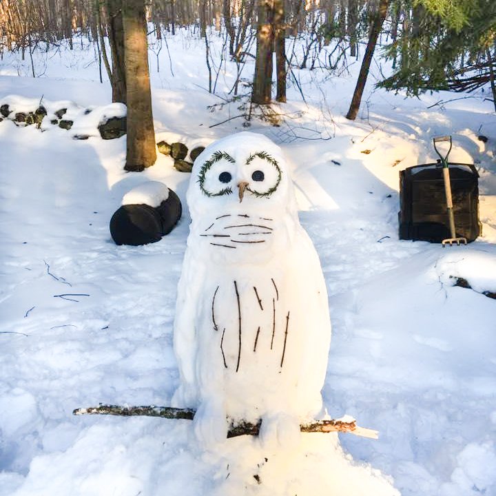 Snowy owl spotted! How much snow did the winter storm bring your way? 

📷 A snow sculpture of an barred owl (note the striped chest and more apparent facial disk) - Lisa Zinn