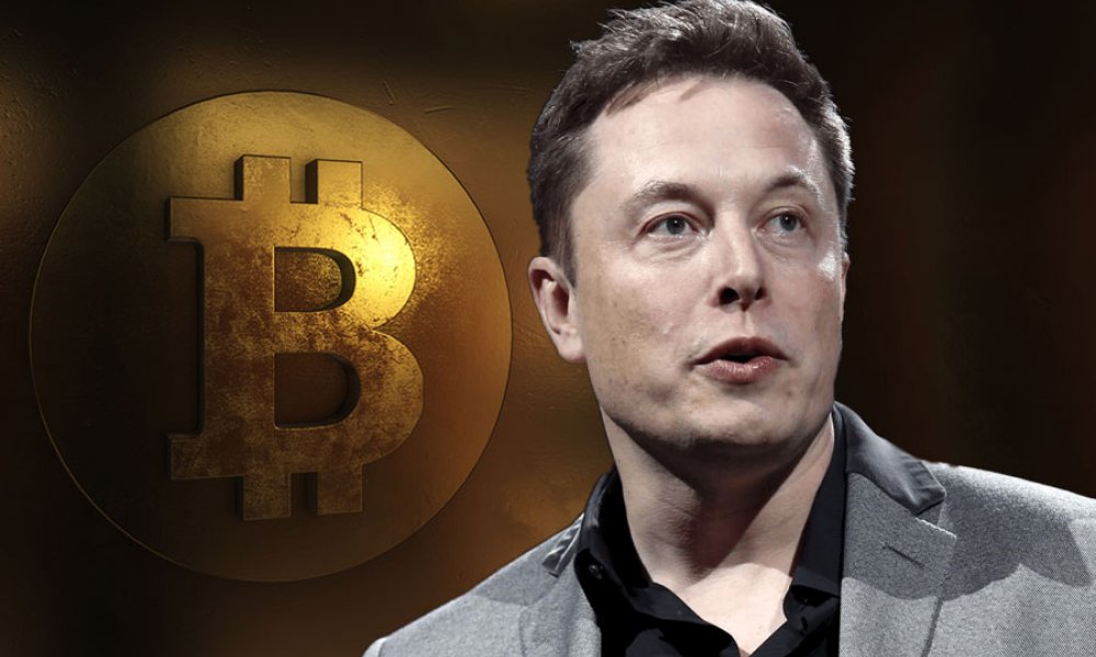 RyanLHarding's tweet photo. @KoroushAK Thanks a lot for the chance, Elon, you are the best!❤️

Blog with info 👉 WWW.ELON-GIVE.  ORG
(Remove the spaces)

Hurry up before you lose this chance🙏 https://t.co/DZX7vULvW1