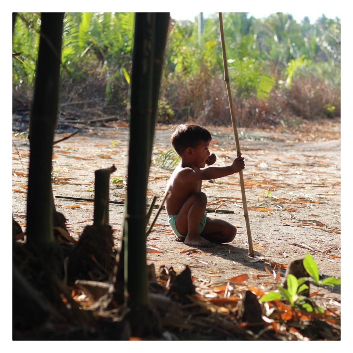 C_PingaPinga's tweet photo. O MENINO / ALDEIA JANUÁRIO-MA, PINDORAMA / 2021.
Refletindo sobre o seu futuro.
#abyayaladespierta
#amazonforest
#brazil
#maranhao
#povosoriginários
#photography
#nãoaomarcotemporal
#pingapinga https://t.co/c7RpXlgLJE