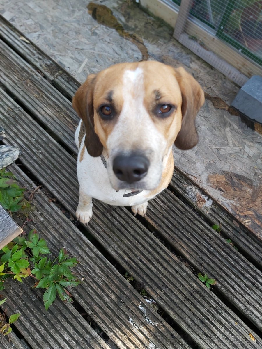 Torranbrown's tweet image. Its my birthday  3 today