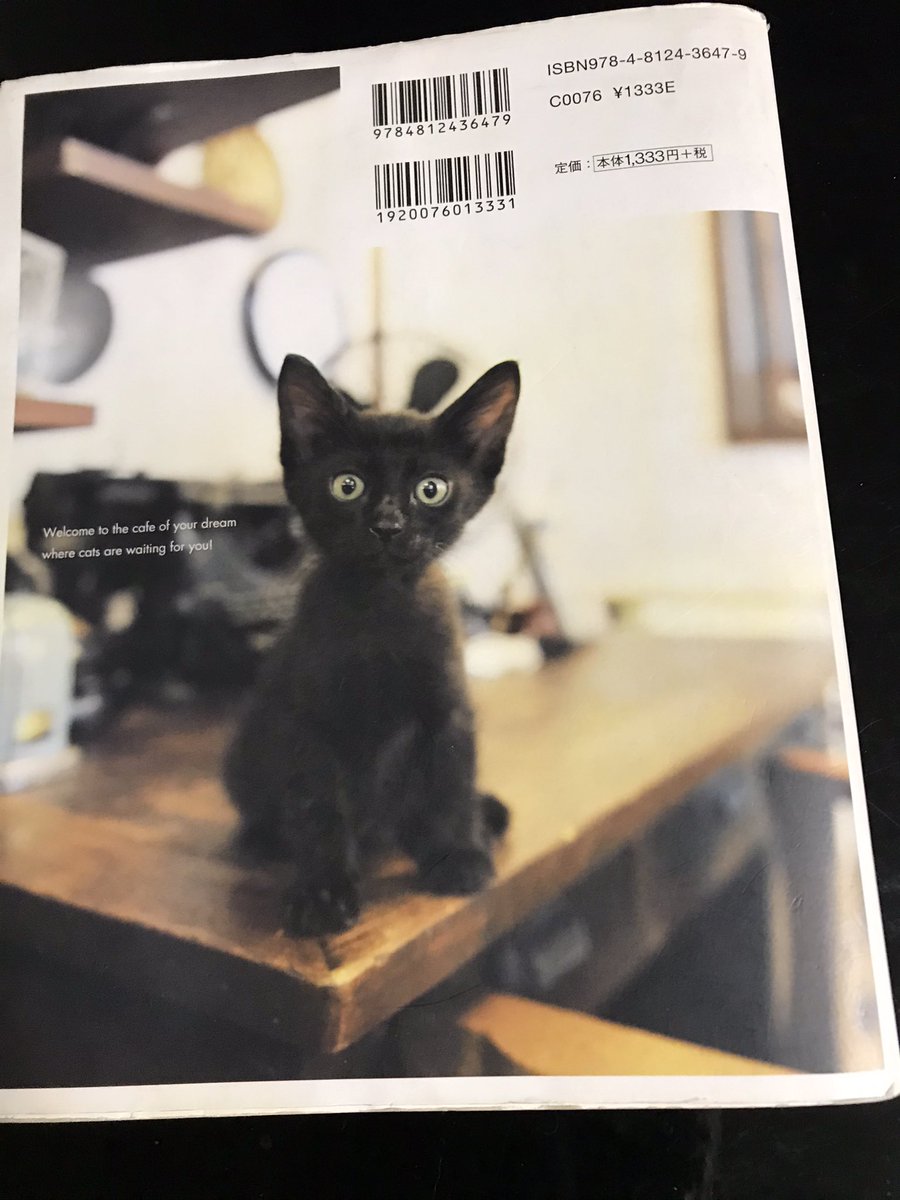 キャッテリア クラウド ナイン Catteriacloud91 Twitter キャッテリア クラウド ナイン Catteriacloud91 Twitter