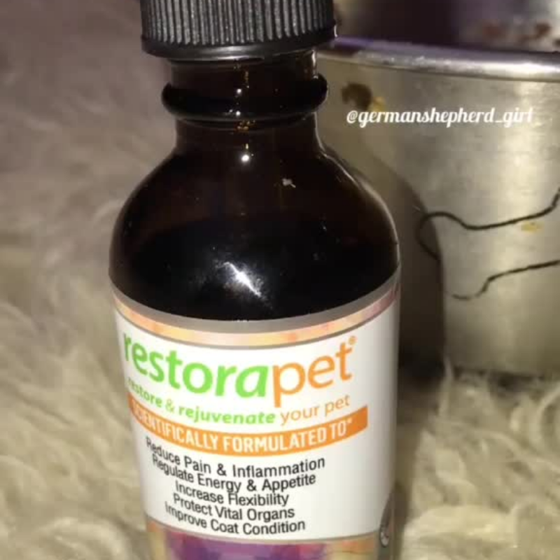 RestoraPet tweet media