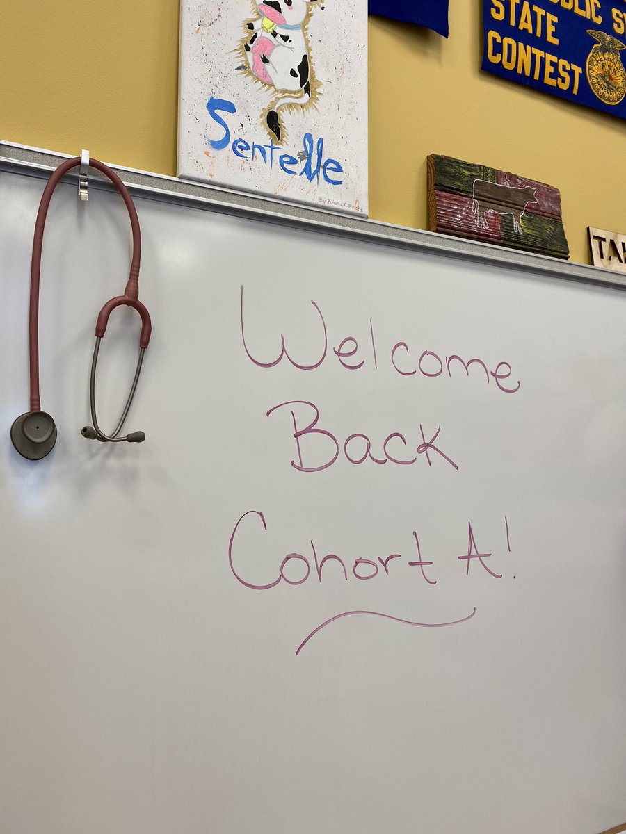 BSentelleFCPS's tweet photo. Today is a happy day!!! Laughter and chatter is filling my room and my soul! Welcome back FCPS 🥰 #FCPS #FCPSCTE #FHSAg #Imissedthis https://t.co/nTcFKff9Fu