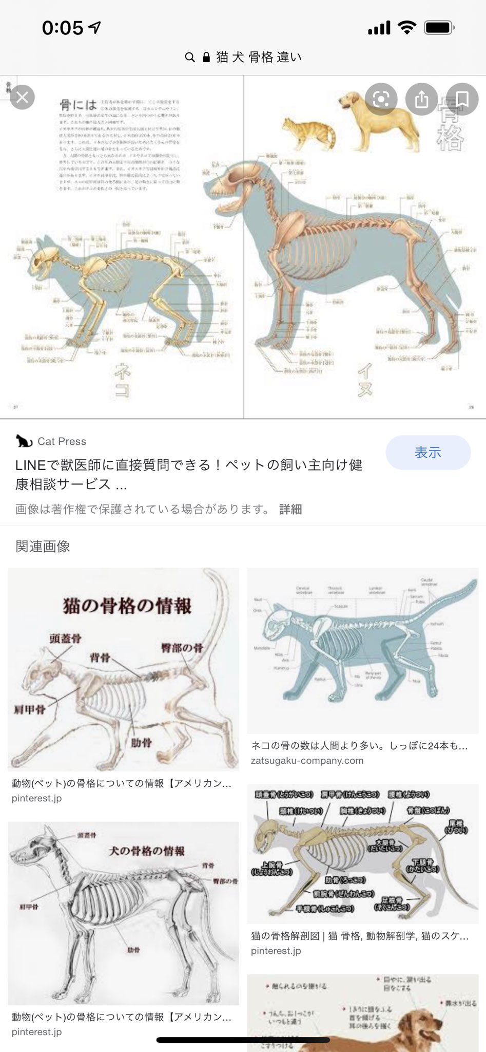 太々宮ペーヌ むなー 犬猫の汎用にしたいってのがhmmワイルドライガーのプロポーションの狙いでああなってると思われる 背中ラインに関しては関節位置の工夫でもう少し良くできた気はするものの 犬の足に顔を下げた状態の始めからイマイチな状態を持っ