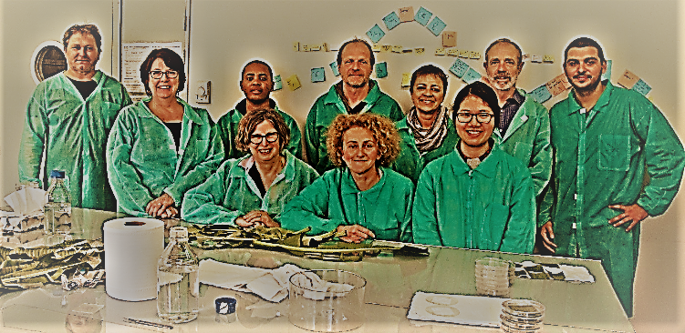 PHIM_research's tweet photo. [#phimPhD] A world without #banana? Fear not, Thomas Dumartinet is defending his PhD on 26/02 at 2.00 pm on the causative agent of the most recent worldwide pandemic on #banana #FBI #PATHS @Cirad @Supagro @umontpellier @Anses_fr 

Follow [in french] on https://t.co/pbWHSfsQRm https://t.co/RStvp3RQhd