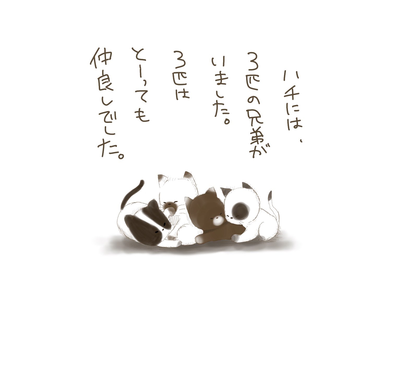 ぴたろ Pitaro Kapapen Twitter