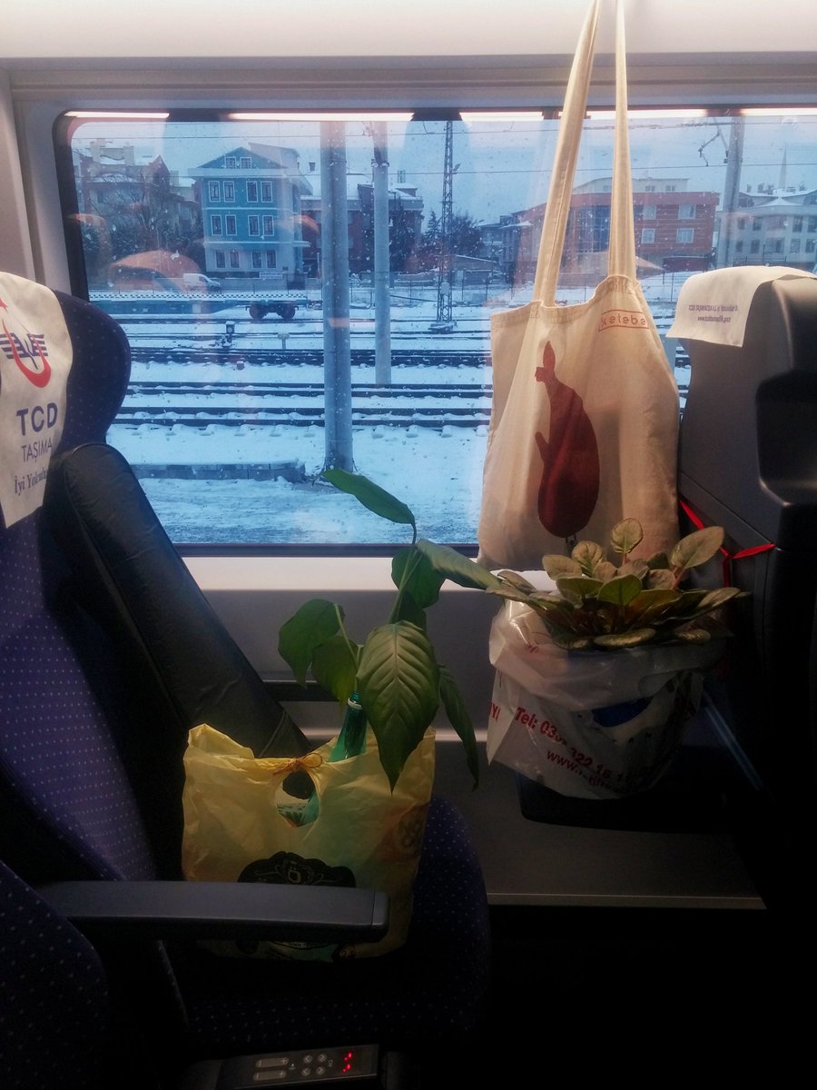 Şairin 'Evi Nepal'de kalmış
Slovakyalı salyangozdur ruhum' dizesi kaldı yine yanımızda..