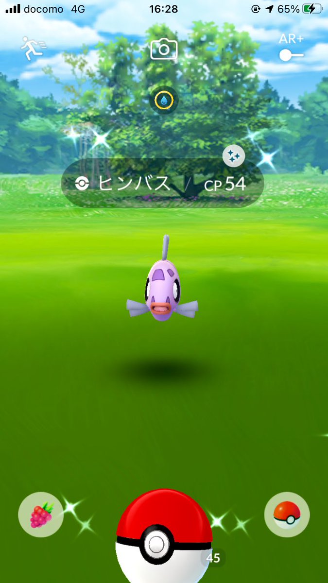 色違いポケモン のリアルタイムtwitter ツイッター ほぼ一覧 色違いポケモン のリアルタイムtwitter ツイッター ほぼ一覧