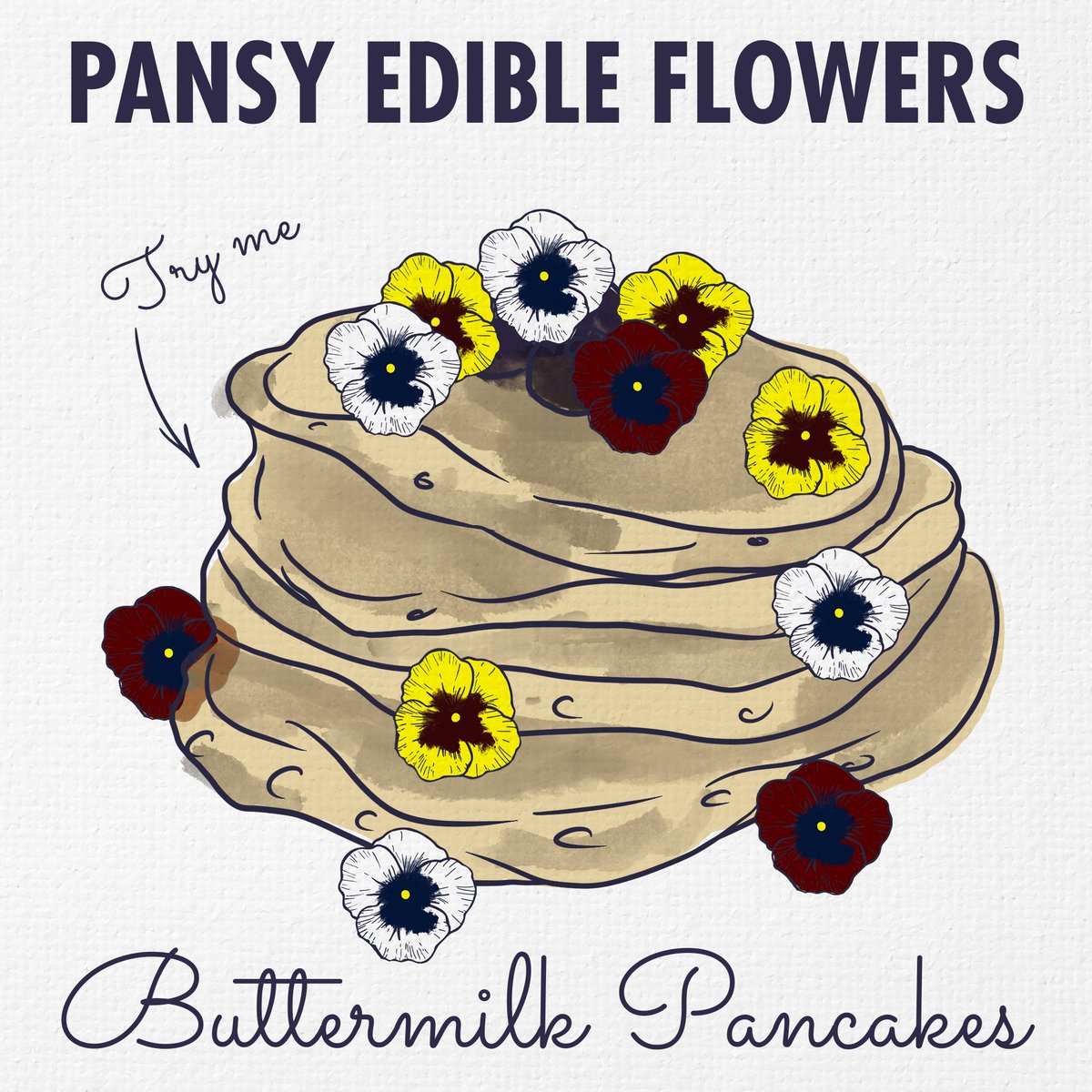 WestlandsUK's tweet photo. Happy Pancake Day! π₯
We have the ultimate question for you⦠What's your favourite pancake topping?
We love our Edible Pansies - you can add them to the batter or as a garnish along with fruits and syrup. YUM.
#pancakeday #pancaketopping #edibleflowers https://t.co/hcjCgBdIvu