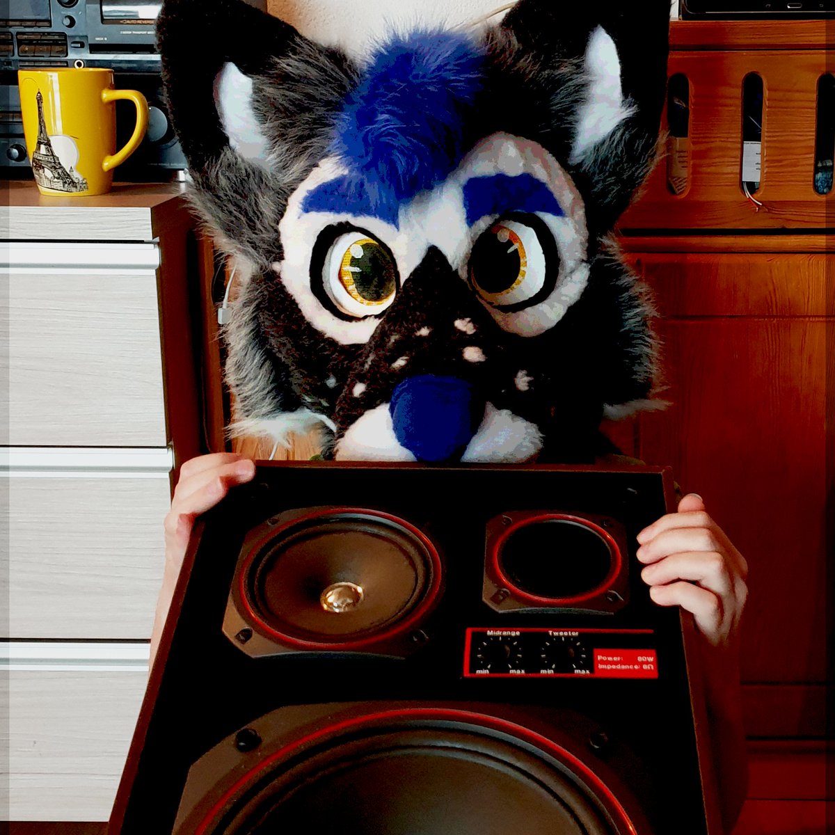 Huh, it just passed a year since I bought my Alton 80 speakers... I regret this a lot
#fursuit #audio #furry 
Anyway I still enjoy them, cuz it's my first vintage stereo set!