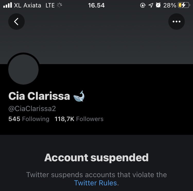 Hello @Twitter @TwitterSupport

I've been following @CiaClarissa2 @CiaClarissa3  for a long time and saw this got suspended for no reason. Account owners have never violated any of Twitter rules. Please, bring back the accounts soon 🤗

Thank you