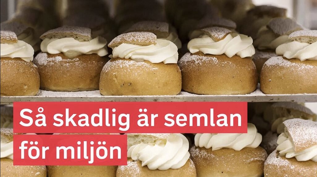Kan vi få ha EN sorglös dag snälla? EN