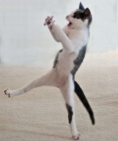 kagemeow — a thread;