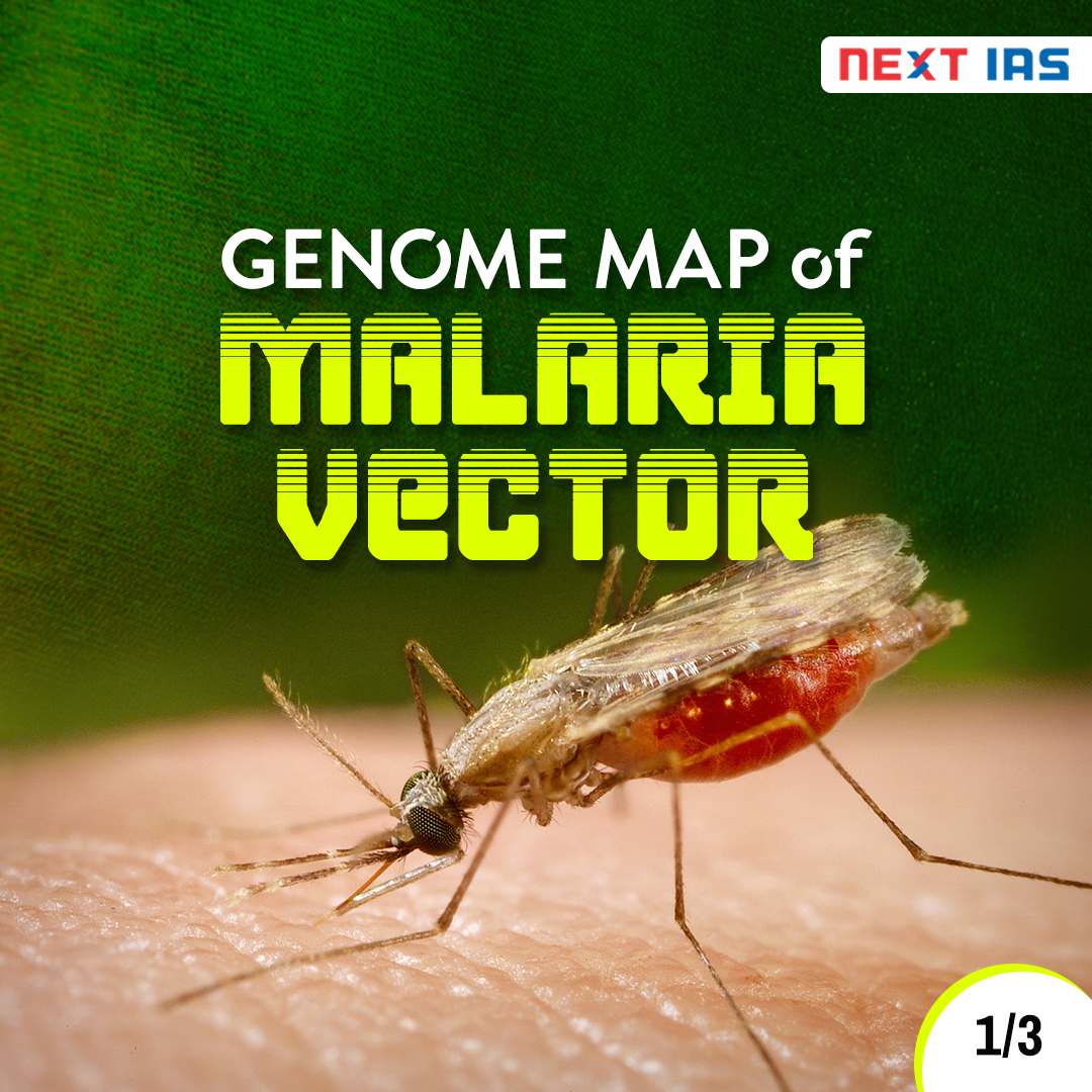 NEXTIAS_Delhi's tweet image. Key Facts: Genome Map of Malaria Vector

#KeyFacts #Facts #malaria #genome #map #vector #infographic #information #informative #nextias #IAS #upsc #upscias #discovery #genes #unearthed #maps