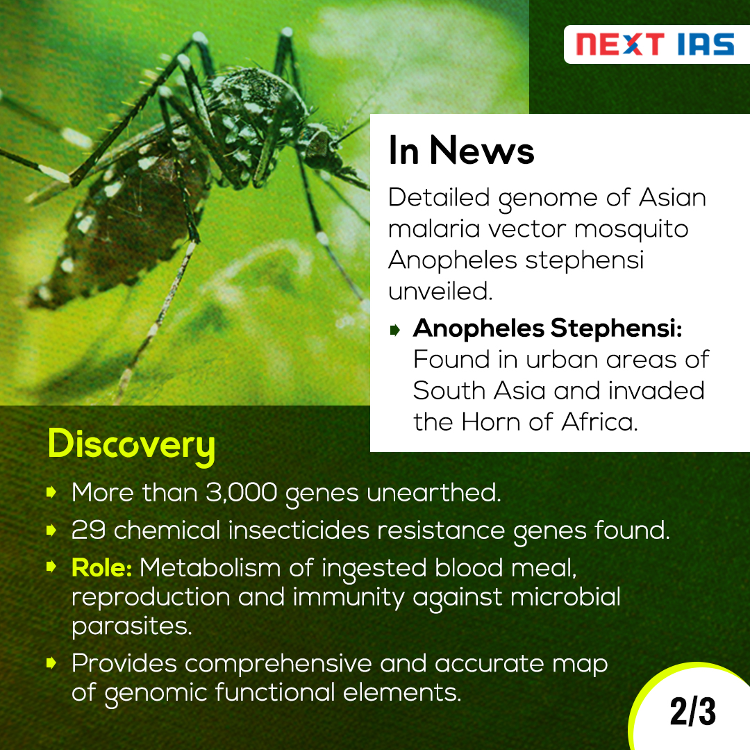 NEXTIAS_Delhi's tweet image. Key Facts: Genome Map of Malaria Vector

#KeyFacts #Facts #malaria #genome #map #vector #infographic #information #informative #nextias #IAS #upsc #upscias #discovery #genes #unearthed #maps