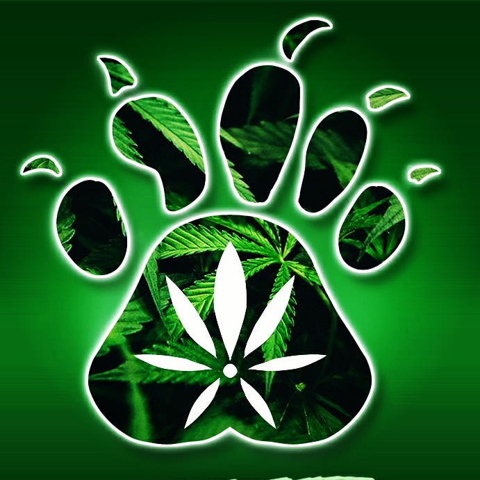 BeastCbd's tweet image. ¿Qué os parece la imagen de nuestra marca?