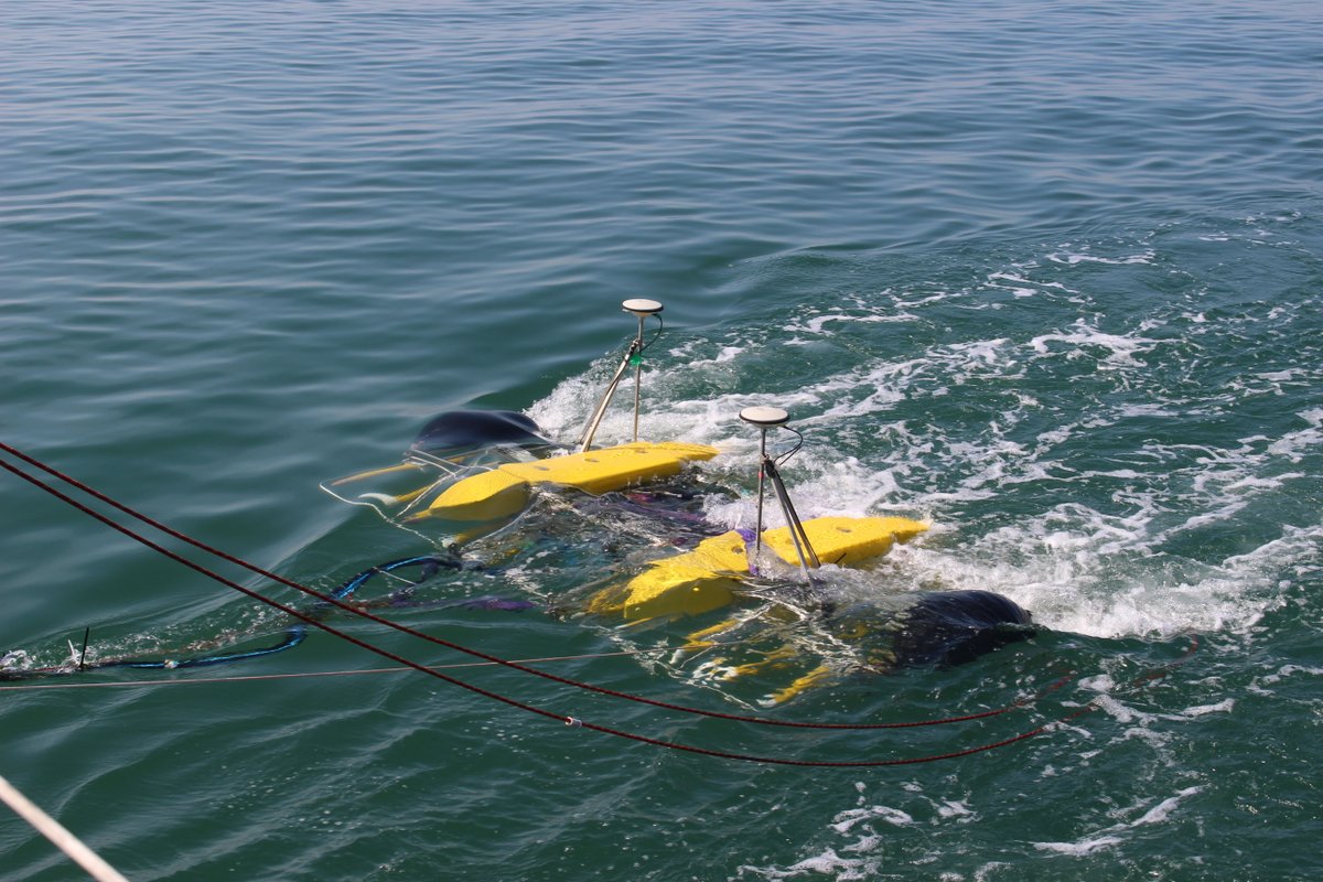 SAND have vast experience in cable depth of burial surveys with the ability to provide accurate positions down to 25cm intervals along the length of the cable. Discover how this is achieved using the 3D Chirp...

#geophysics #seismic #survey