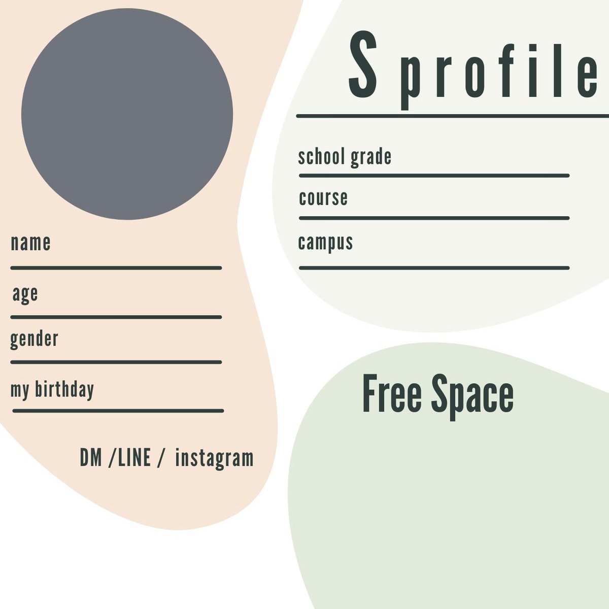 N,S専用profile」を作ってみました！ 使ってもらえるかわからないけど