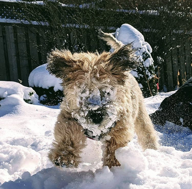 It’s a Snow Day ⁦<a href="/ClanmoreMontess/">Clanmore Montessori</a>⁩