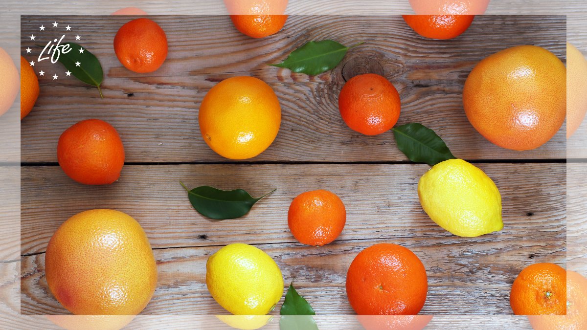 LIFEProgramme's tweet photo. #DYK that there's a #LIFEproject giving life after life to oranges 🍊 , tangerines and lemons? 🍋

@citruspack is a fine example of #circulareconomy, as it converts citrus peel into bottles, jars &amp; cosmetics!♻️

Have a look 👀 into their Layman's report 👉🏻 https://t.co/aKO7yqQNQG https://t.co/WbgUdI9Xj1