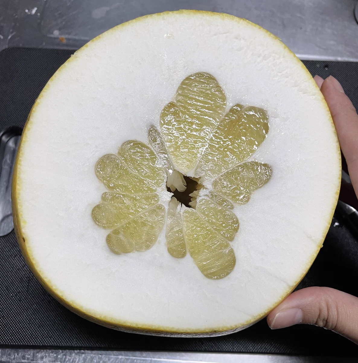 もはや皮しかない！世にも一番残念なグレープフルーツ．．．じゃなかった⁉