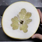 もはや皮しかない!世にも一番残念なグレープフルーツ．．．じゃなかった⁉