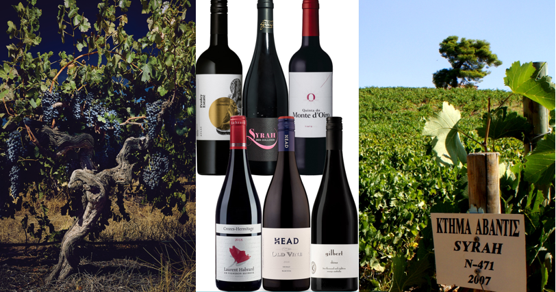 AmathusDrinks's tweet photo. It’s International #SyrahDay!  Pick up our 6 bottle #Syrah &amp; #Shiraz case from Amathus today and enjoy the red grape varieties we've put together. A must try. https://t.co/RSHuwbQGyv https://t.co/xE4f58Ncfm