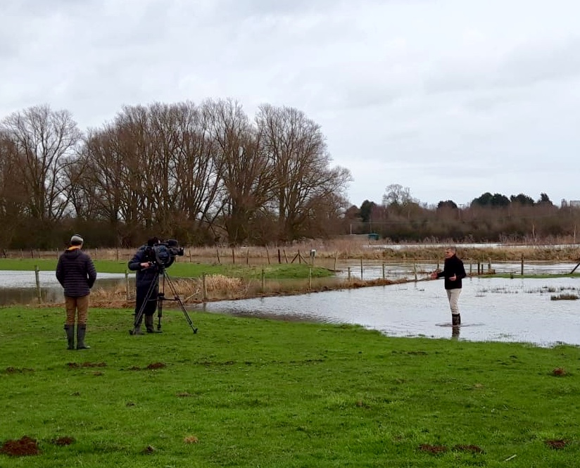 wildlifebcn's tweet image. See our exciting work with farmers in the #NeneValley this Sunday on @BBCCountryfile 
Reporter @tomheapmedia meets Helena Darragh @FftFproject  🚜💦💚💙

Sunday 21 Feb, BBC1, 7pm
bbc.co.uk/programmes/m00…

@WildlifeTrusts 
@mattydj82  
@nenescape 
@_NeneValley 
@NN_BestSurprise