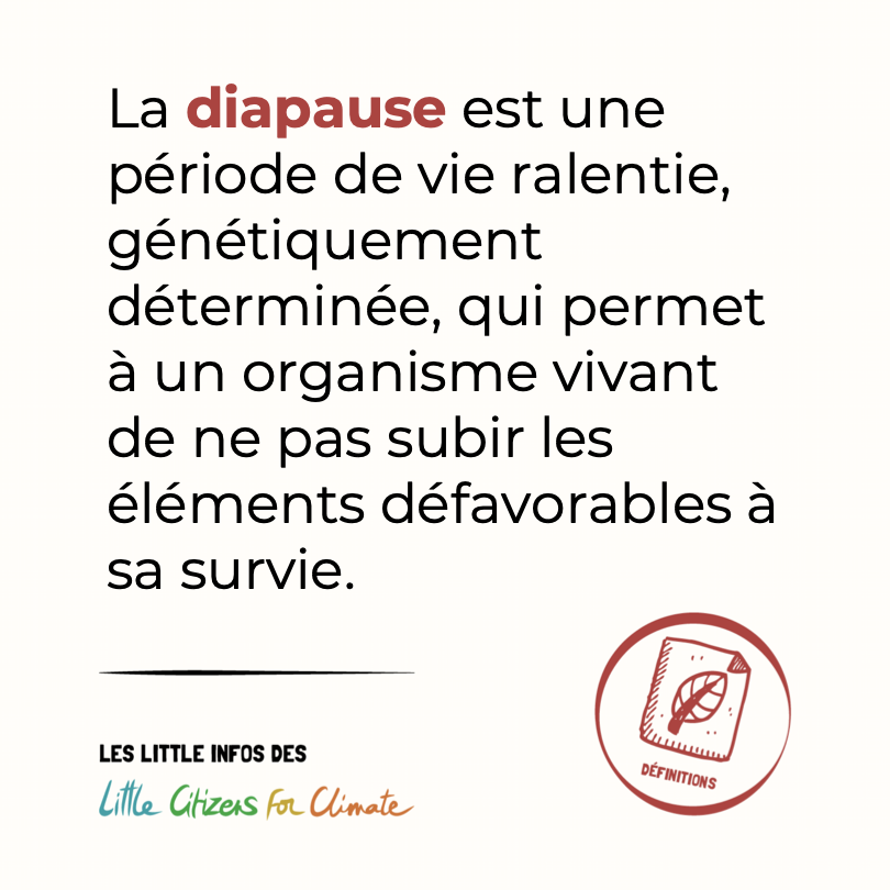 ClimateLittle's tweet photo. Le saviez-vous ? 🧐
#littlecitizensforclimate #savoir #connaissance
https://t.co/VW8PaxEFq1 https://t.co/35JFCtHAFz
