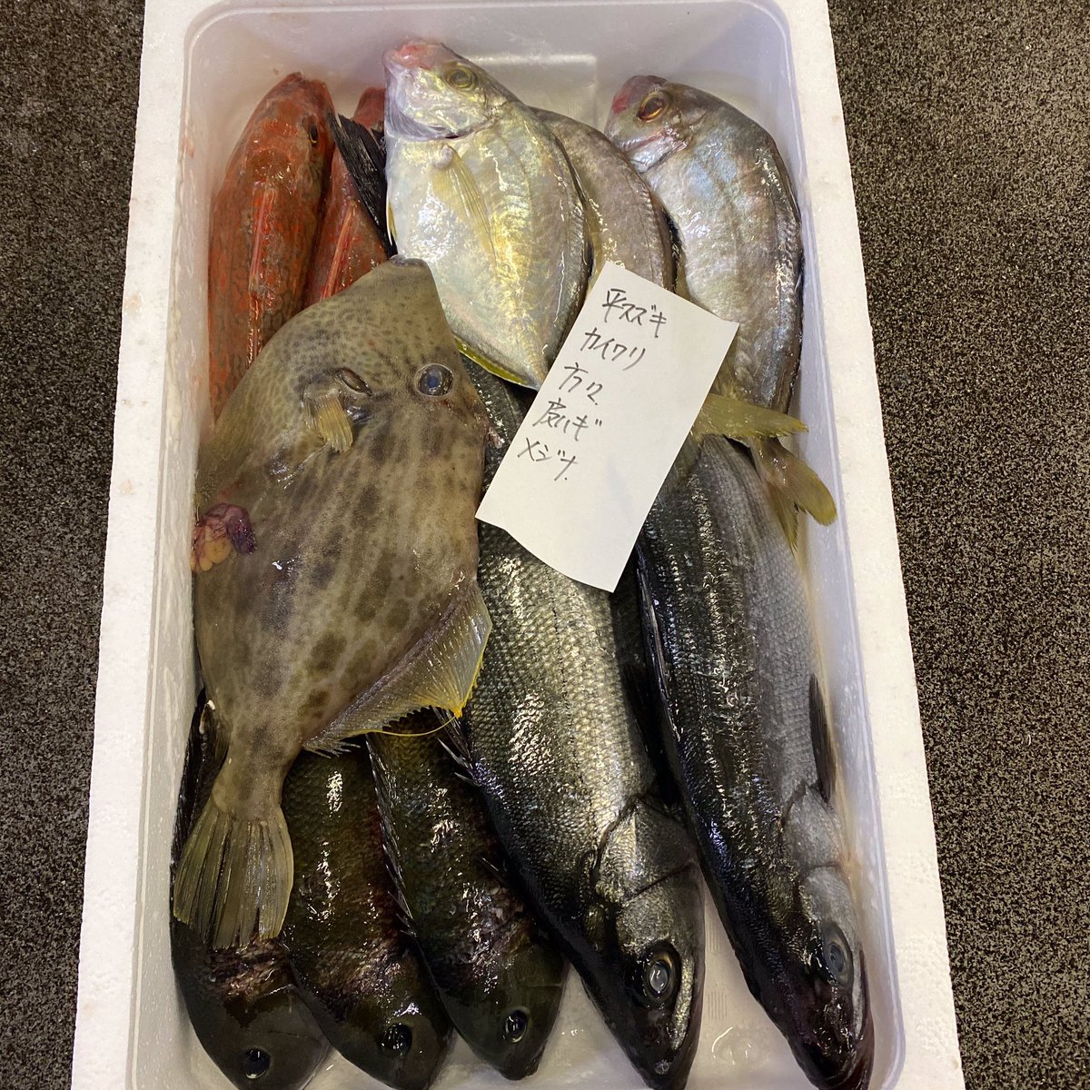 みらいマルシェ 漁港魚市場のお魚情報 2 8 月 その 長崎県 ヨコスジフエダイ ヒラスズキ アカイサキ カイワリ ベラ 広島県 黒鯛 愛媛県 白甘鯛 などが みらいマルシェのスマホアプリで各地から出品され 注文があった全国のスーパーや鮮魚店 みらいマルシェ 漁港魚市場のお魚情報 2 8 月 その 長崎県 ヨコスジフエダイ ヒラスズキ アカイサキ カイワリ ベラ 広島県 黒鯛 愛媛県 白甘鯛 などが みらいマルシェのスマホアプリで各地から出品され 注文があった全国のスーパーや鮮魚店