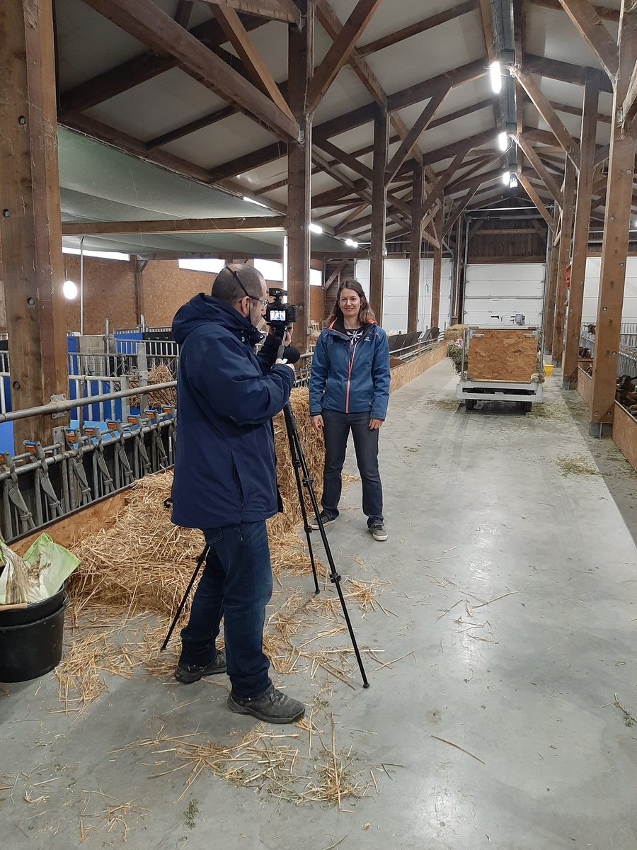 BoyerCl's tweet photo. [ ValCabri 🐐🍼]
Ce matin c'était tournage vidéo 🎥📷 de nos chevreaux Boer et Alpin 🐐 par @Philippe_Berte 

Au programme de ce montage : la mise en avant des résultats des croissances et de la viande de chevreaux de différents types génétiques : Boer, Pyrénéen et Rove. https://t.co/GMVpoC5oLl