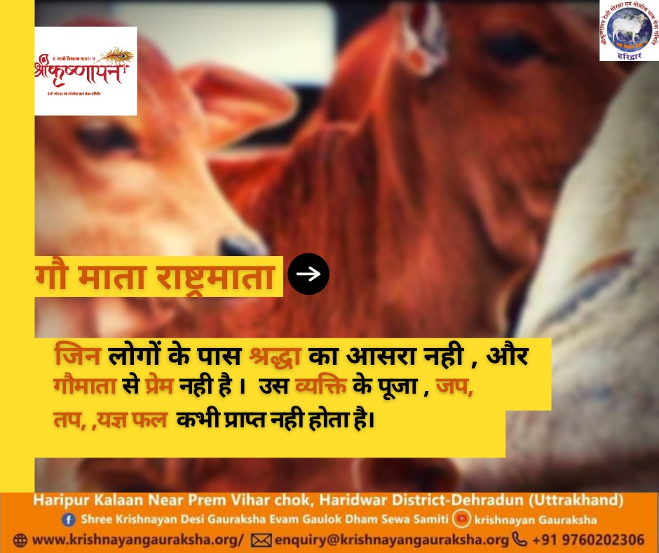 ShreeDesi's tweet photo. गौमाता राष्ट्रमाता🙏
#gaurakshak #gauparivar #shreekrishnayan #maa #om #desicows #kamdhenu #brownsugrcowsofnz #cowsblike #bharatkisanskriti #isckon #sanatansanskriti #sanatandharma #sanatan #rammandir #russia #bharat #cowsofinstagram #cutecalf #cows #cutecalf #cowsmakemehappy https://t.co/IfskttjS9g