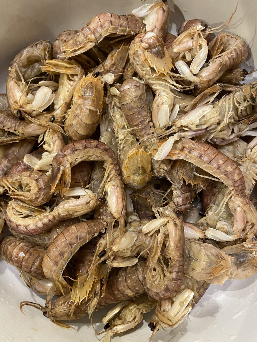 マルコス 釣り名人への道 今日はシャコだってさ