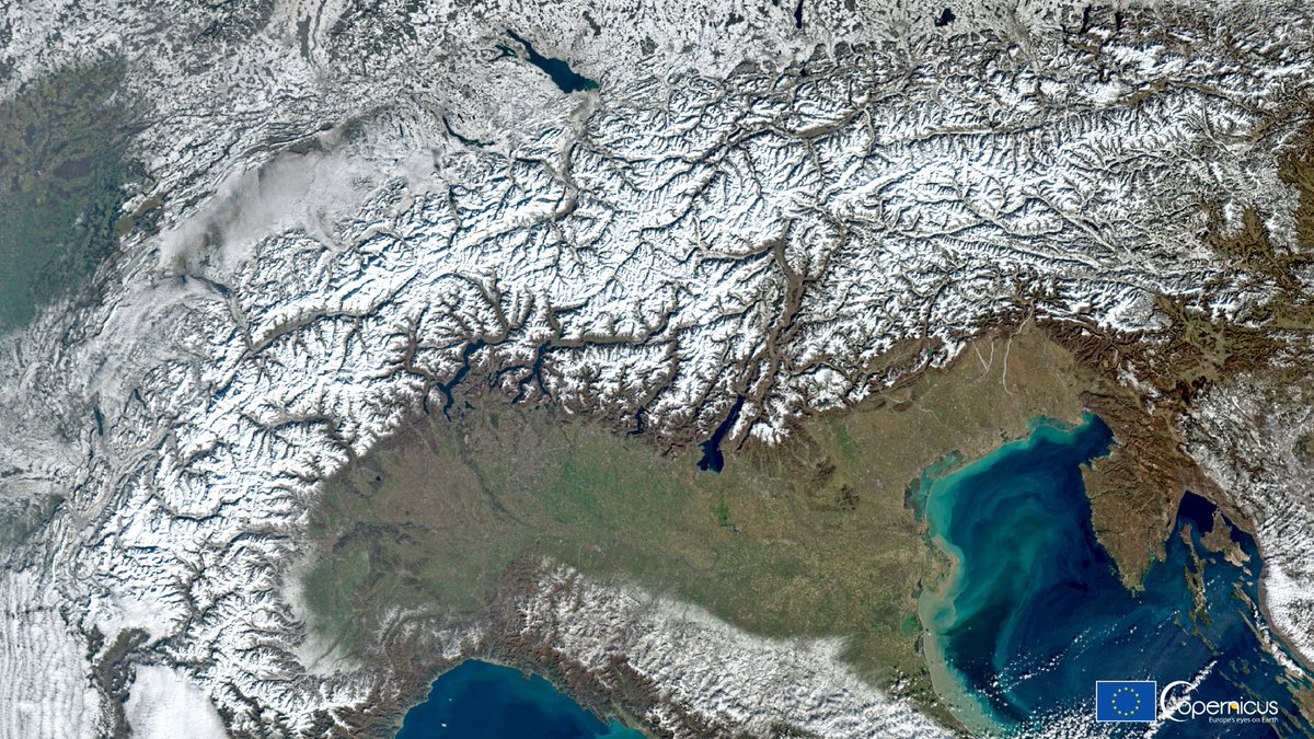 EU Defence and Space tweet media