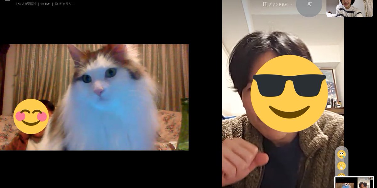 うちの家族わりと仲良しなのでこの時期は定期的にオンラインで顔見せ合ってるんだけど、ソル(実家のメインクーン4歳)は登場するだけで全部持ってくしCG感がすごくて今日もさすがだった🤟🏻