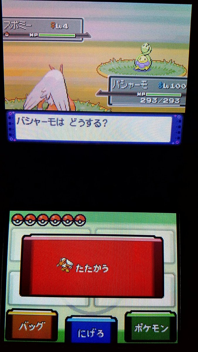 バグ好きレッド Twi11red Twitter バグ好きレッド Twi11red Twitter