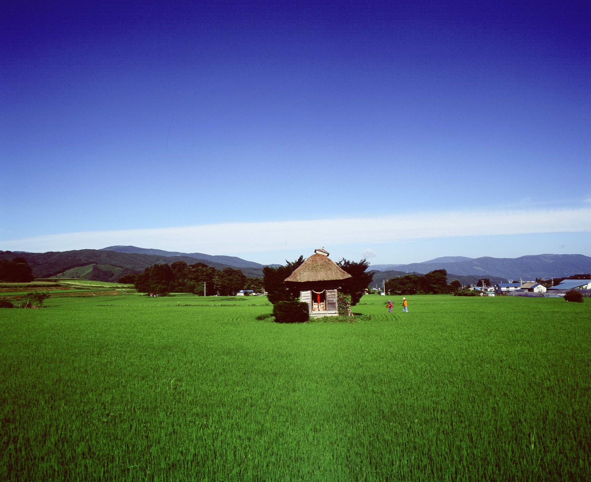 遠野市立博物館 荒神神社 遠野市青笹町 荒神神社は田んぼの中にたたずむ神社である 春には茅葺の社が田の水面に映え 秋には黄金の稲穂に埋もれる 人々の祈りと生業とが一体となった 遠野を代表する風景である 撮影 浦田穂一 T Co V7wnxflqhn