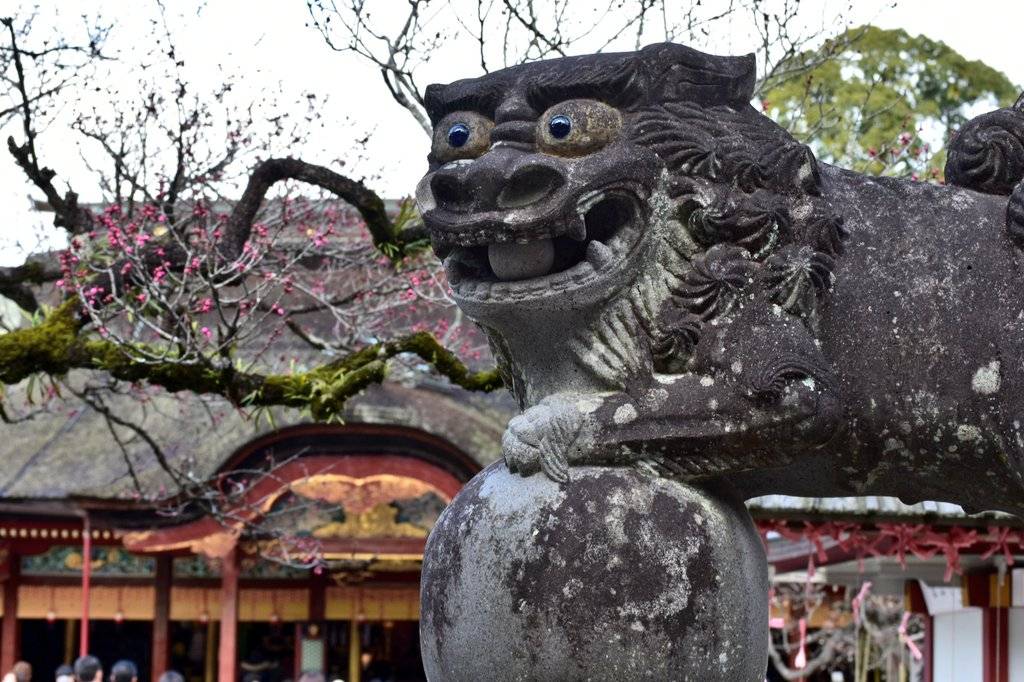 すのぉ❄𝒮𝒩𝒪𝒲📷🎺🎷🎻🎶 tweet media