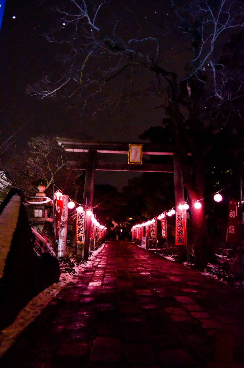 すのぉ❄𝒮𝒩𝒪𝒲📷🎺🎷🎻🎶 tweet media