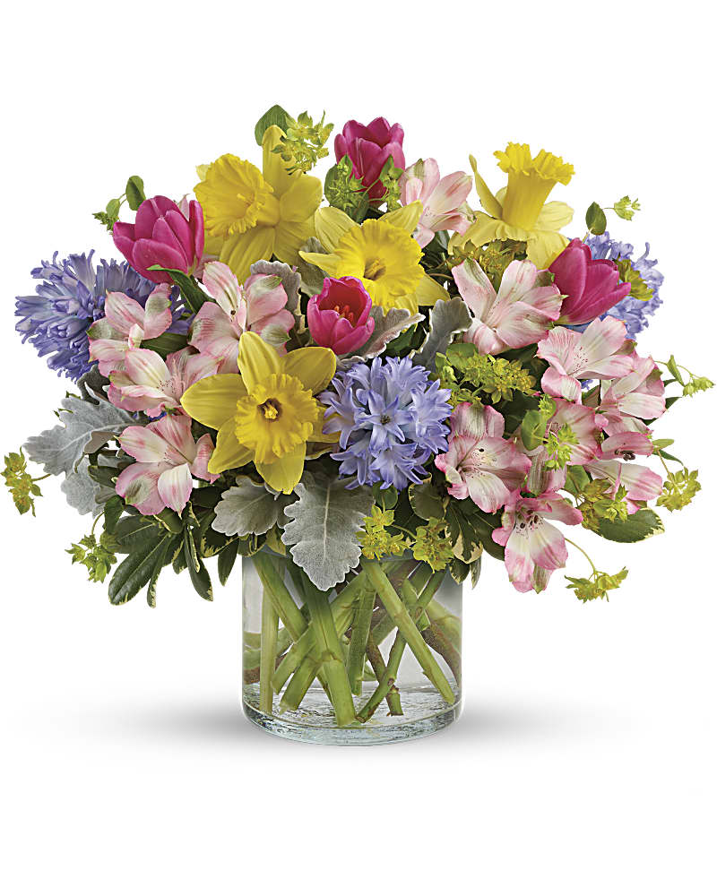 mahersflorist's tweet image. Here's a little taste of Spring to brighten your day!

#springtimeshere #thinkingofspring #freshflowers #flowerstobrightentheirday #mahersflorist #pasadenamdflorist
mahersflorist.com