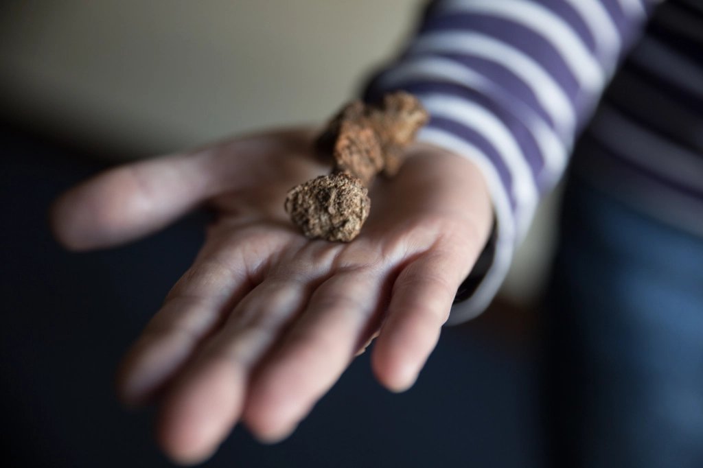 The  #Vikings had dug too large a pit and the 6.5m-long vessel was surrounded by stone 'packing' to keep it in placeThough the wood had long-rotted away, 300 rivets were found.The image below shows where the rivets were placed.
