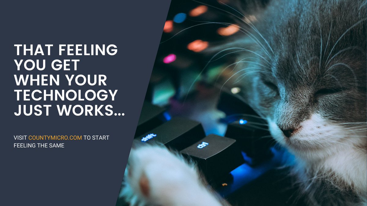 county_micro's tweet photo. Wouldn't it be nice if you did not have to constantly fight with your technology? With County Micro, you won't have to! Visit our website or contact us today to start feeling just like this adorable cat! #managedit #itsupport #computercat https://t.co/MdeYgGDtEK