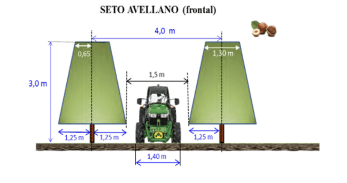 Agromillora_'s tweet photo. 🌳Producción del #Avellano
🚜Para optimizar el potencial productivo de una plantación, la separación entre líneas depende principalmente de la altura de los árboles, a mayor altura mayor separación.
📲 Más información en nuestro #BlogOlint:
https://t.co/oyMSncBk4L https://t.co/HoRPLoW9zr