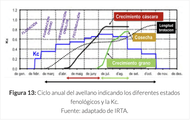 Agromillora_'s tweet photo. 🌳Producción del #Avellano
🚜Para optimizar el potencial productivo de una plantación, la separación entre líneas depende principalmente de la altura de los árboles, a mayor altura mayor separación.
📲 Más información en nuestro #BlogOlint:
https://t.co/oyMSncBk4L https://t.co/HoRPLoW9zr