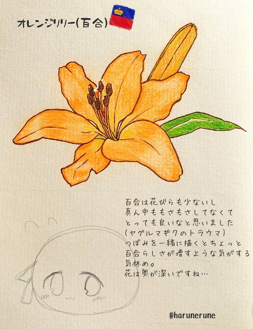 エーデルワイスのtwitterイラスト検索結果