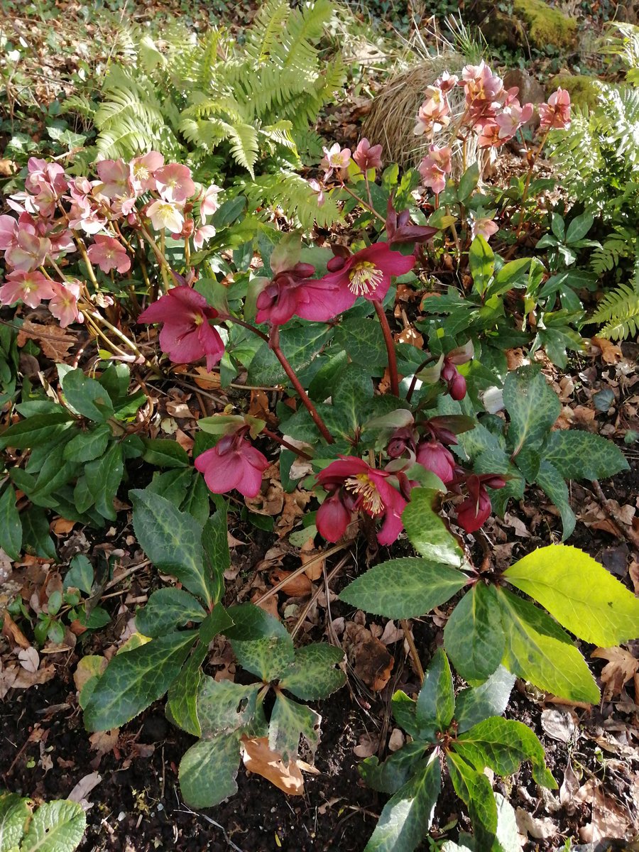 Lá breá gheal inniú. 🌞