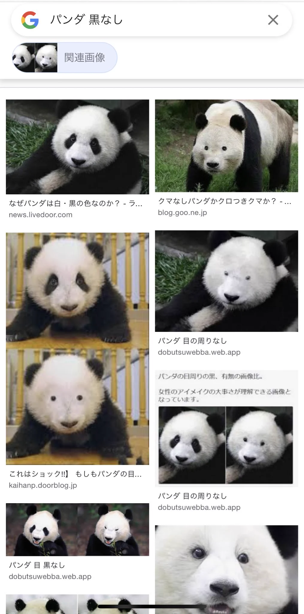 アイシャドウは大事？パンダの目の周りの黒い模様がなくなった結果www