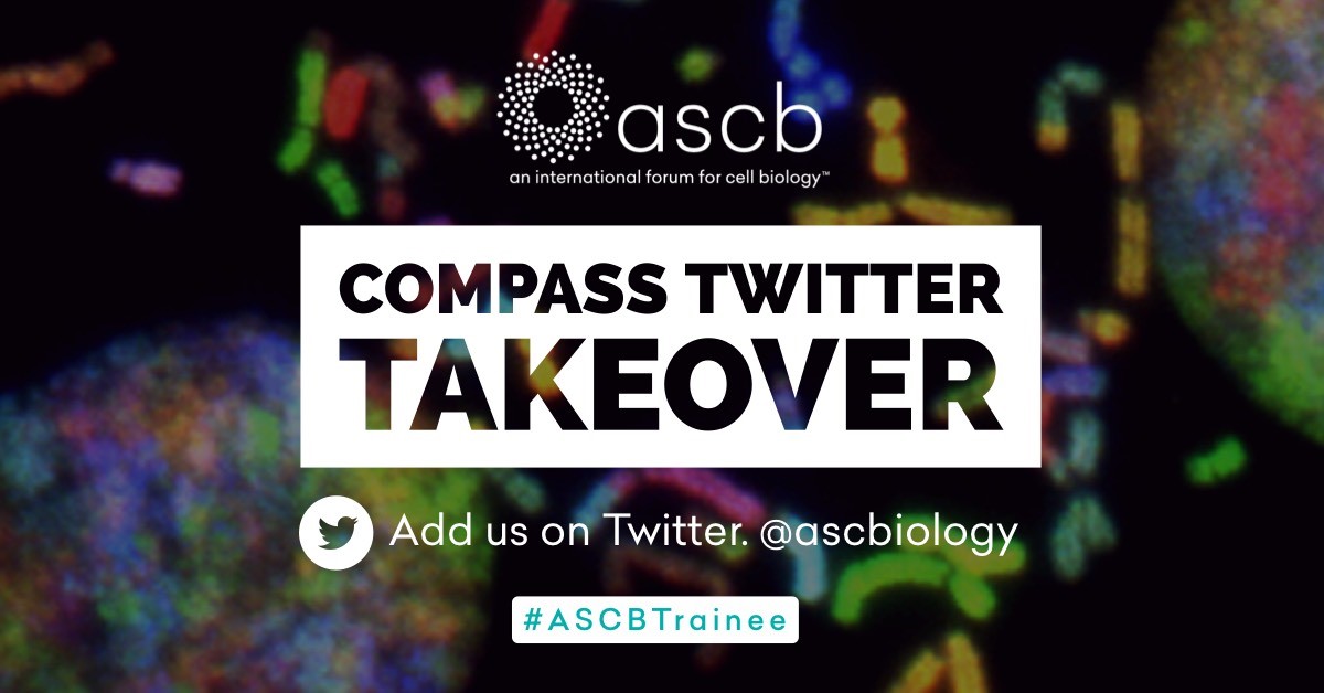 ASCBiology's tweet photo. TODAY! It's time for another #ASCBCOMPASS #TwitterTakeover this time with @sarajwong Make sure to have your notifications on! https://t.co/7Nqiqkf05Z