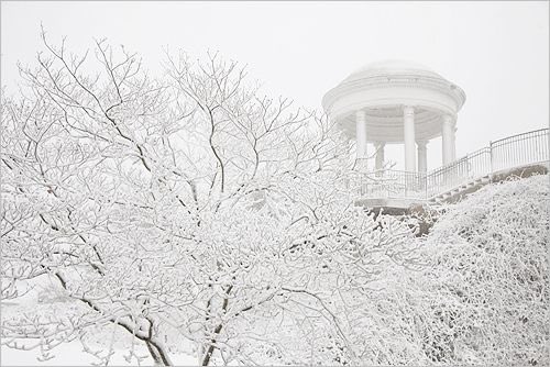 Bistro V will be closed today! Stay safe and see y’all tomorrow.