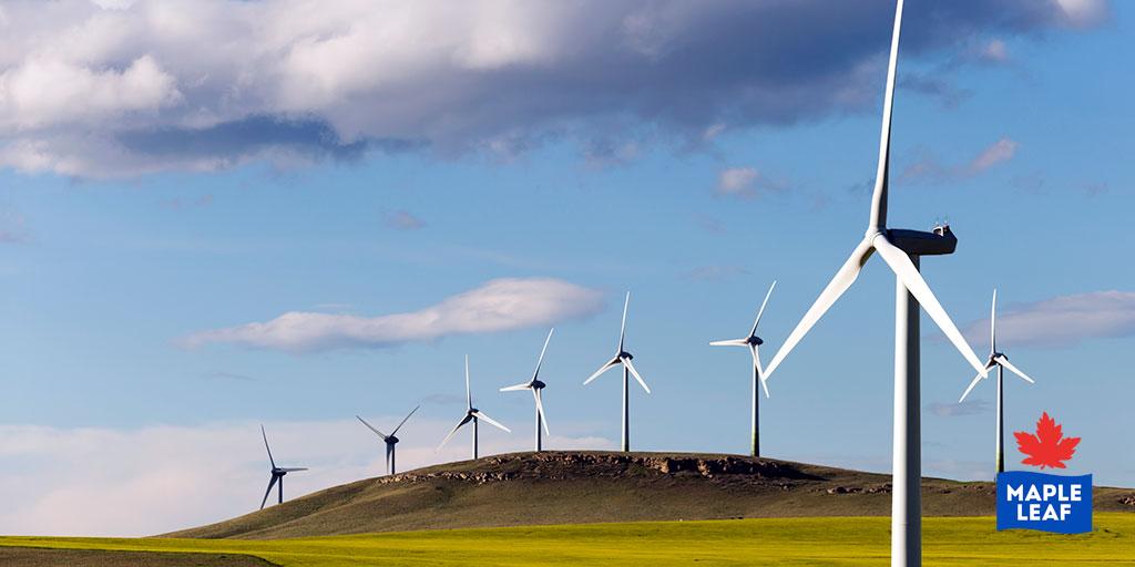 Back in November, we marked and celebrated our one-year anniversary as a #carbonneutral company. This was a significant milestone in our purposeful journey to become the most #sustainable protein company on earth. Read more: bit.ly/3b9wr9Y